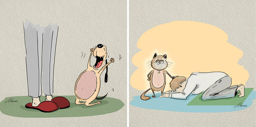 CHAT contre CHIEN : 6 illustrations amusantes de l'artiste Bird Born chat-contre-chien-bird-born-3 