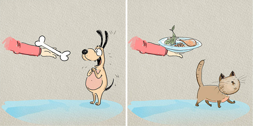 CHAT contre CHIEN : 6 illustrations amusantes de l'artiste Bird Born chat-contre-chien-bird-born-6 